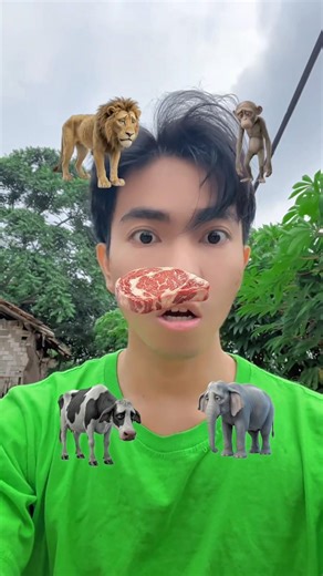 Kasih Makan Hewan Part 3