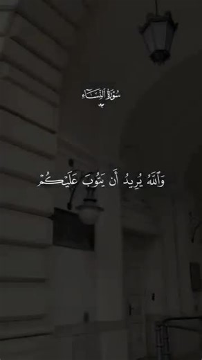 ‏#قران_كريم_ارح_سمعك_وقلبك♡ #viralvid #قران