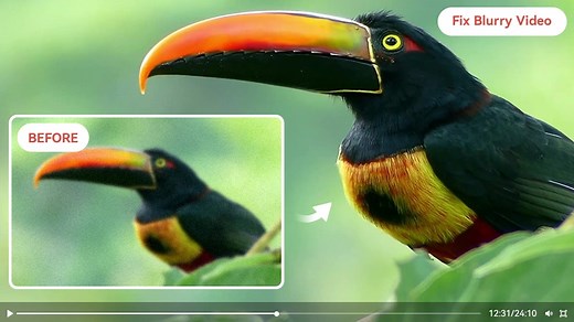 How to Fix Blurry Video to Make it Clear