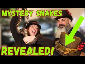 Complete Snake Tour Going Into 2025