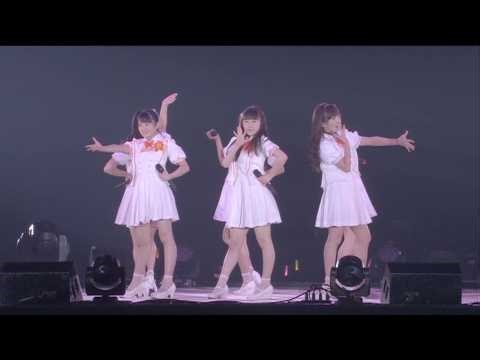 初めてのハッピーバースディ！/ カントリー・ガールズ (Hello! Project ひなフェス 2015 〜 満開！The Girls' Festival 〜)