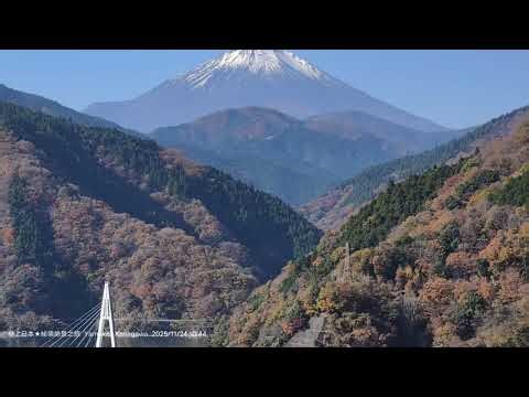 20251124 神奈川縣「丹沢湖」絶景，「千代の沢園地」第二展望台，不愧是「関東の富士見百景」，可以拍到丹沢湖與山毛櫸富士山絶景