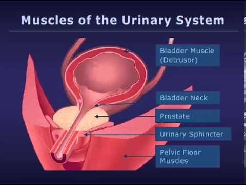 Botox Injections for Bladder Conditions