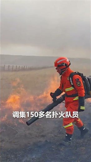中蒙边境突发入境草原火情，消防员紧急出动全力阻截，最终火情得到有效控制。#熱門 #中国