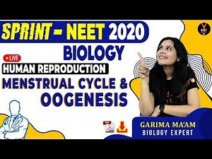 Human Reproduction | Menstrual Cycle and Oogenesis | NEET Biology MCQs Series | NEET 2020 |Garima Goel Video Lecture - Class 12