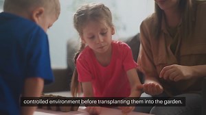 Seed Starting Basics Explained