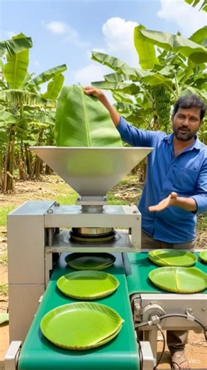Making Eco-Friendly Plates From Banana Leaves! 🌿😲 #shorts #youtubeshorts #ytshorts