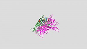 Alpha-Conotoxin-IMI bound to Ac-AChBP - 3D model by Liberty_Jackson