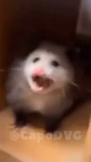 Half-Life Scientist Finds Houndeye