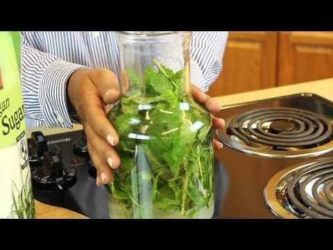 How to Make Mint-Infused Vodka