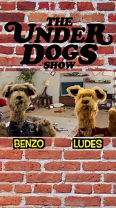 277K views · 6.5K reactions | #judaspriest #breakingthelaw #dogs #parody | The Underdogs Show | Facebook