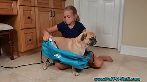 Puff-N-Fluff, An Inflatable Full Body Dryer for Wet Dogs