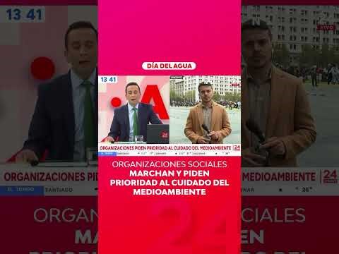 Social organizations march and demand priority be given to environmental protection