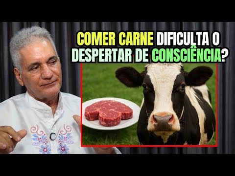 Alimentação com carne de animais influencia na nossa consciência? | Satsang com Alexandre Magno