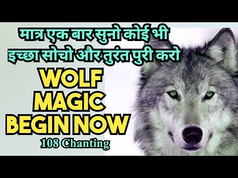 Powerful Switchwords for Love Relationship | Wolf magic begin now