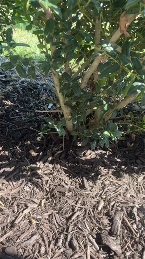 Feeling of Being Watched