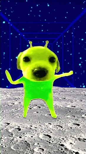 #cute #funny alien dog