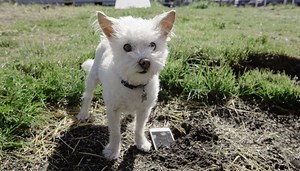 15 reactions | We all need a little help disconnecting. Check out some ways to take a break from your screen. #NationalDayofUnplugging | CA Technologies | Facebook