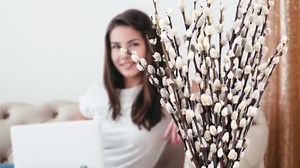 Natural Preserved Dried PussyWillow Branches for Vases, 30 Stems Real Willows, 17" Snow Pussywillows, Dried Flowers for Indoor and Outdoor Decor, Wedding Home DIY Floral Art Plants Fireplace