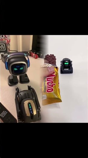 Vector vs emo fighting time