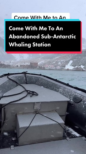 Exploring the Abandoned Whaling Station in South Georgia