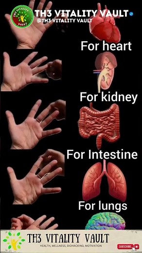 Mudra Hand Exercises for Body Organs 🪷 | Ancient Healing Through Finger Yoga