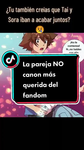 Tai y Sora: El amor no correspondido en Digimon