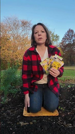 Plant THESE flowers this fall!!