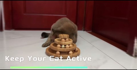 Cat Ball Track,Cat Ball Toy,Kitty Toys Roller,3-Level Cat Ball Tower with 9 Removable Balls,Interactive Cat Toy,Circle Track DIY Fun Toy for Kitten Mental Physical Exercise