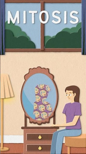 Cells divide for growth