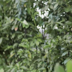 1.9K views · 7 comments | Don't forget to pay your vehicle tax! You can easily tax your vehicle online at: www.gov.uk/dvla/tax #TaxItDontRiskIt #DVLADigital | Driver and Vehicle Licensing Agency | Facebook