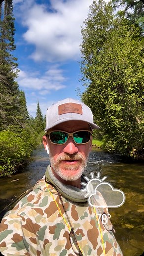 The Hex Hatch in northern Michigan is one of the most anticipated fly fishing events of the year, especially for trout anglers. It refers to the emergence of the Hexagenia limbata, a giant mayfly that hatches in late June through early July, depending on weather and water conditions. Key Details: • Species: Hexagenia limbata (commonly called “Hex”) • Size: Large—typically size 6 to 10 dry flies • Timing: Usually begins around the last week of June and can last into early July • Time of Day: Even