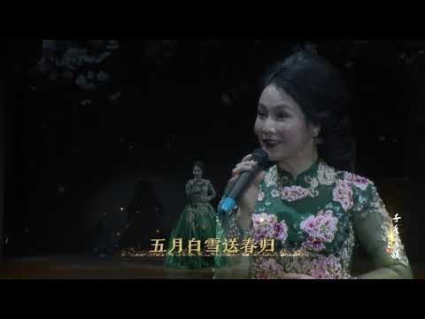 千年客韵-踏歌行【油桐花开】