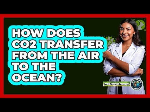 How Does CO2 Transfer From The Air To The Ocean?