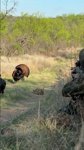 Under 10 Steps! Having a Great Time in Texas.