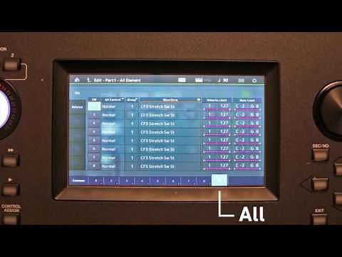 Yamaha Montage Tutorial - 8. Creating an instrument using an imported sample