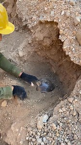 7.5K views · 41 reactions | We Found A Real Treasure Chest❗️#shorts #tricks #tips #treasure #hunting #shortsvideo | HOME GOLD | Facebook