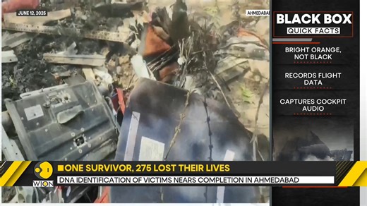 2.9K views · 25 reactions | Air India plane crash: India's civil aviation ministry has confirmed that the key data from the Black Box has been successfully downloaded and further analysis in currently underway Mohammed Saleh reports | WION | Facebook