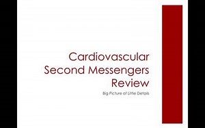 CV 2nd Messengers: ACVECC Exam Webinar July 23, 2019