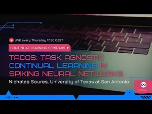 ContinualAI Seminar: "TACOS: Task Agnostic Continual Learning in Spiking Neural Networks"