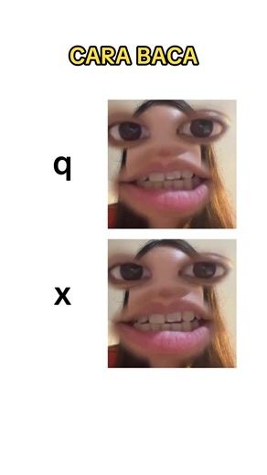 Understanding the Chinese Letters Q and X