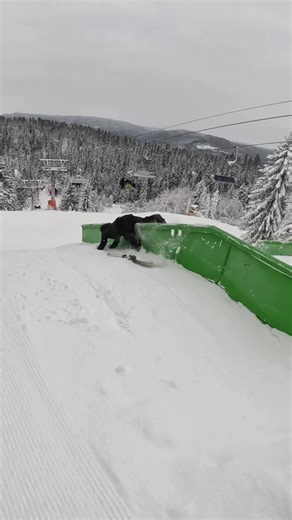 Epic Faceplant During Skiing Adventure