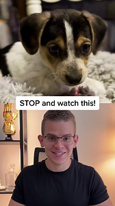 43K views · 14 reactions | Tell us what you’re looking for and we’ll send free alerts with adoptable pets who meet your criteria. Easy as that. | Adopt a Pet | Facebook