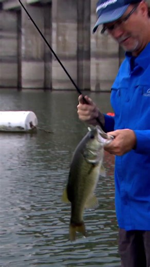2016-FALCON LAKE #BassProShops #RangerBoats #FishGarmin #SPRO #Fishing #Texas