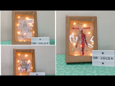 MAQUETA DEL SISTEMA ÓSEO , ARTICULAR Y MUSCULAR