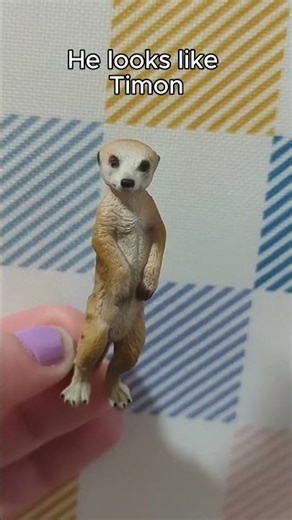 Some of our ✨unique✨ Schleichs 😁 #schleich #animals #unique #shorts #capcut #fypシ #schleichtuber