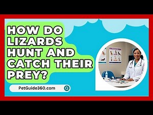 How Do Lizards Hunt and Catch Their Prey? - PetGuide360.com