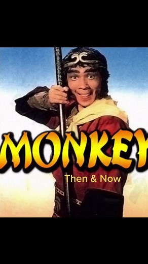 Exploring the Magical World of Monkey Magic TV Show