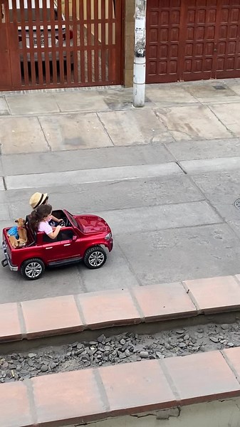 Just 2 runaways and their dogs.