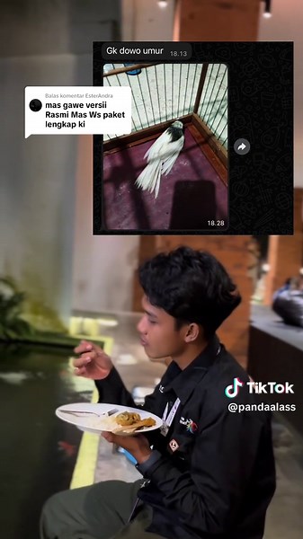 Membalas @EsterAndra jann malah nyusul sisan Rasmi panda Box 24 pas kerjo malah dikabar i ngono #kenarimania #kenarimaniaindonesia⚡ #kenarigacordordor #kenarigacor #kenarirasmi